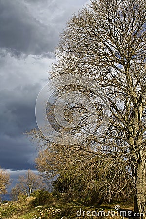 Photos libres de droits: Paysage de l hiver Ã  la montagne de Paggaion ...